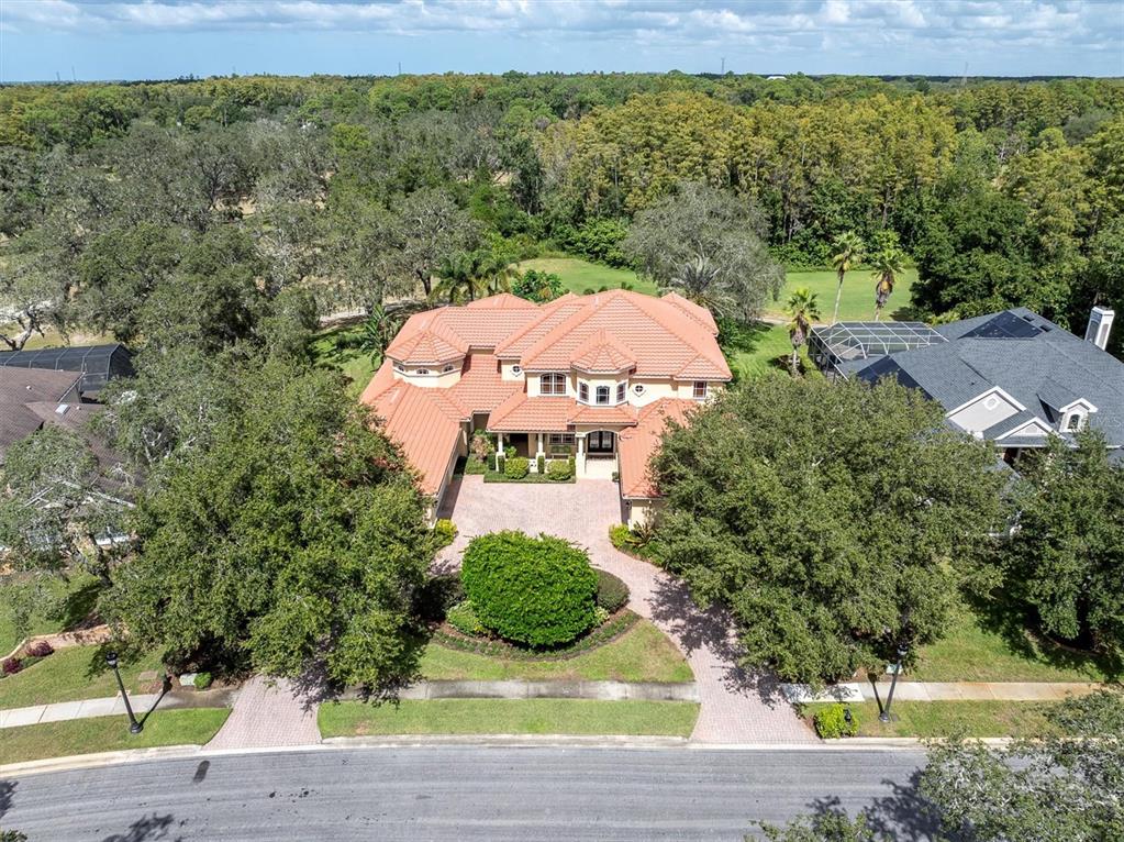 2861 Roehampton Close Tarpon Springs, FL 34688 - Photo 70 of 79
