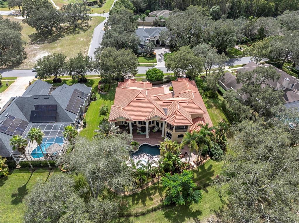 2861 Roehampton Close Tarpon Springs, FL 34688 - Photo 75 of 84 an aerial view of a house with yard swimming pool and outdoor seating