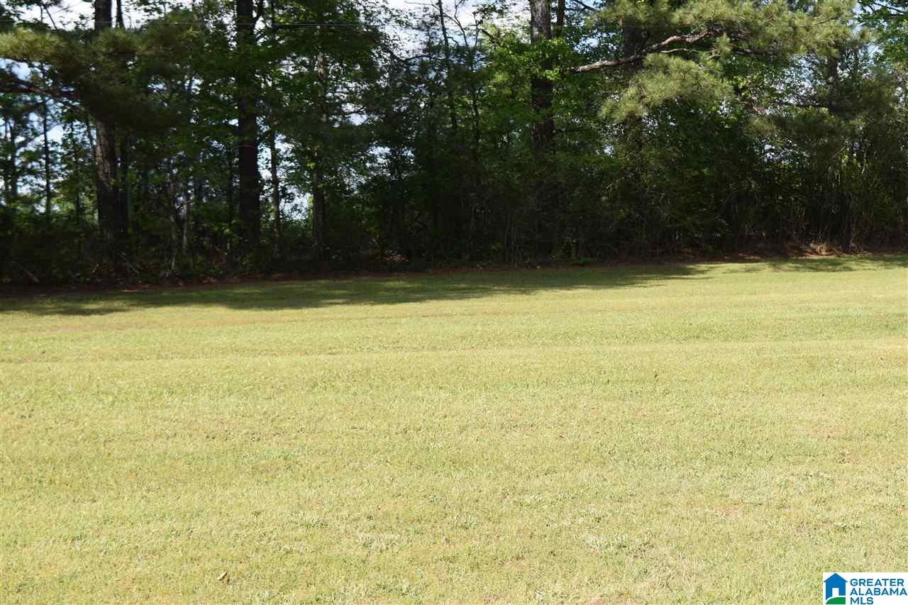 33589 Highway 79 Cleveland, AL 35049 - Photo 3 of 25