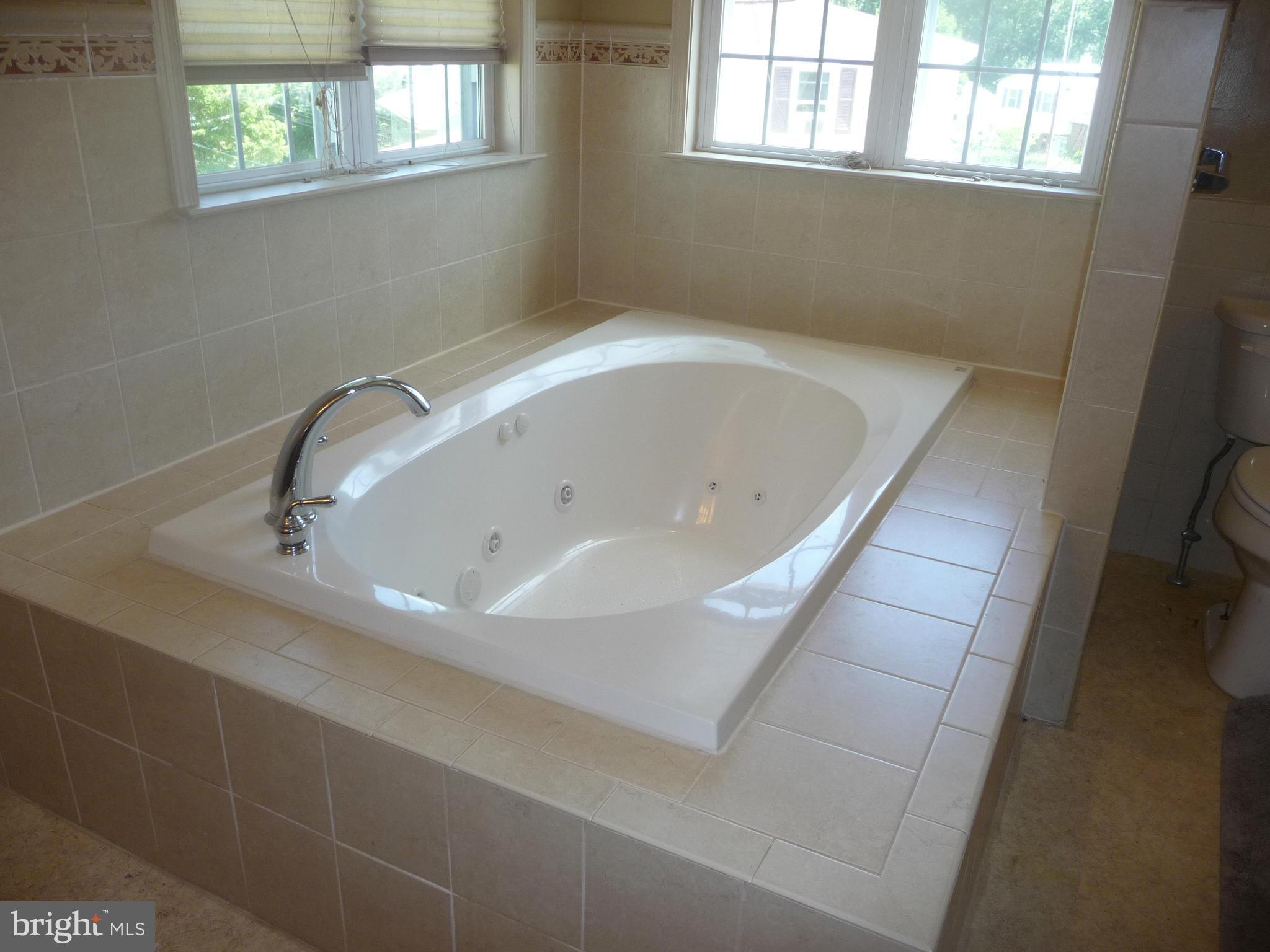 210 Highmeadow Road Reisterstown, MD 21136 - Photo 17 of 24 Bath (Master)