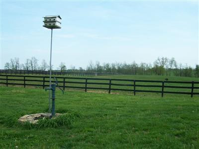 362 Iron Works Road Paris, KY 40361 - Photo 30 of 44 Photo 30
