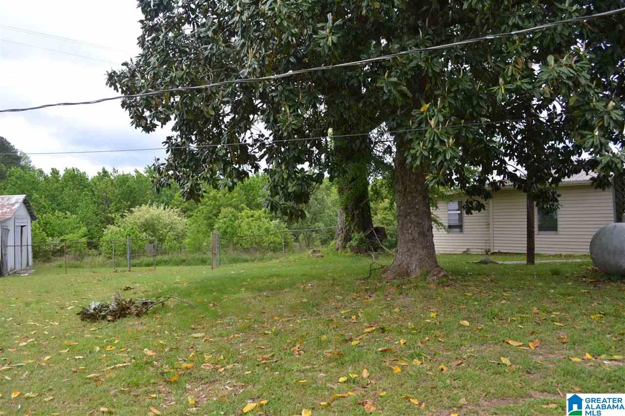 17899 Highway 269 Quinton, AL 35130 - Photo 31 of 31