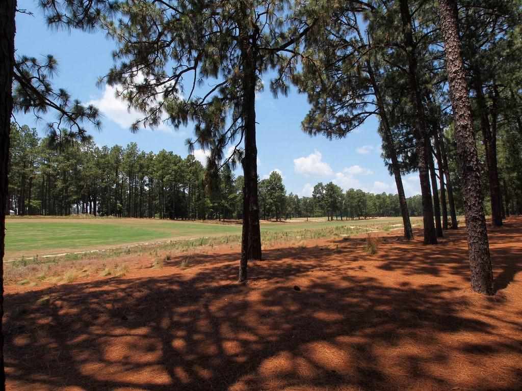 290 Inverrary Road Pinehurst, NC 28374 - Photo 25 of 25 Additional Photo