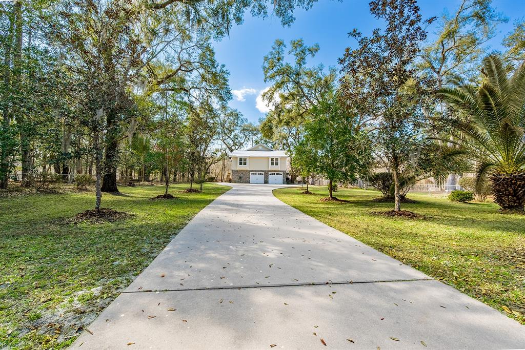 498 Southwest Manatee Terrace Fort White, FL 32038 - Photo 4 of 50 a view of a yard with plants and trees