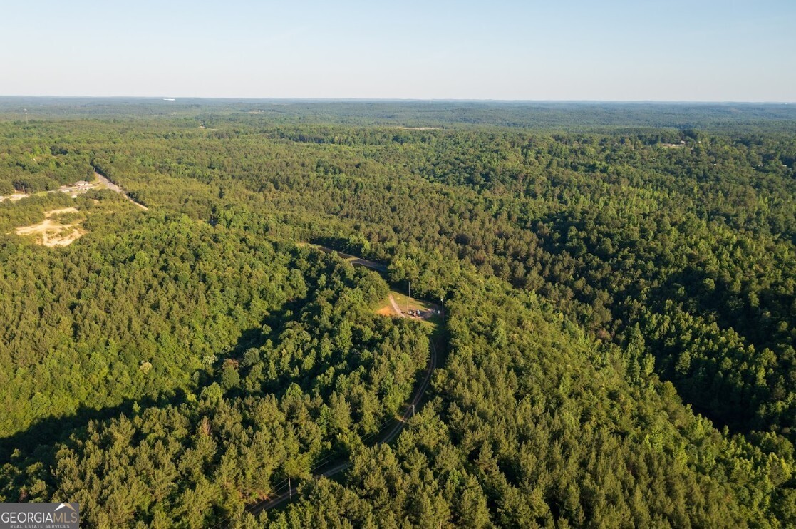 0 Gilmore Mine Road, Unit TRACT A/B Cottondale, AL 35453 - Photo 11 of 18