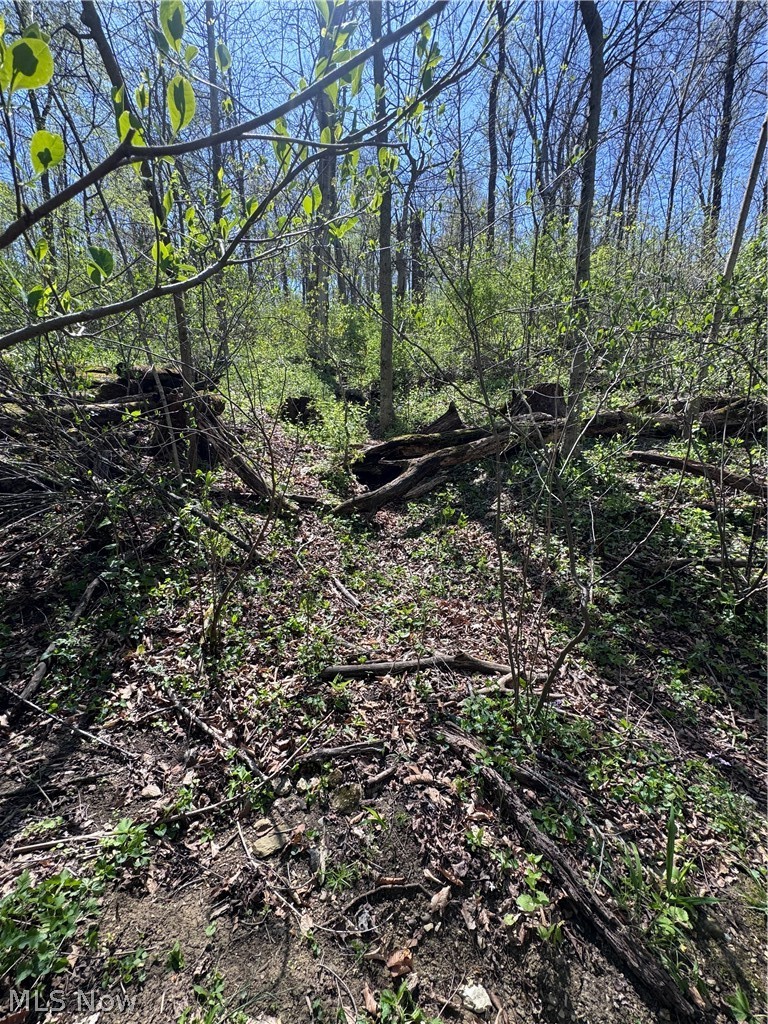 397 South Elliott Road Malta, OH 43758 - Photo 27 of 37