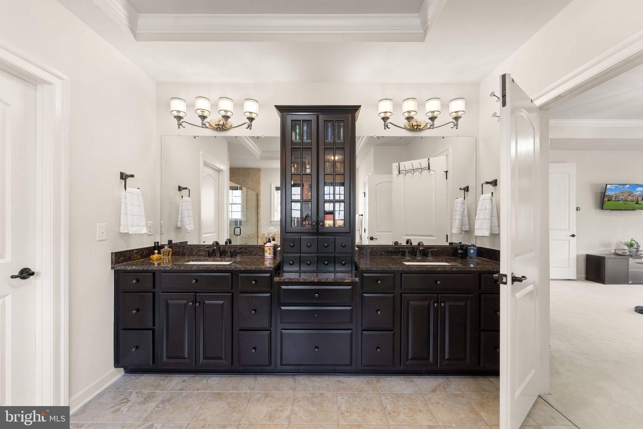 25873 Cameron Walk Place Aldie, VA 20105 - Photo 27 of 92 a bathroom with a granite countertop sink and a mirror