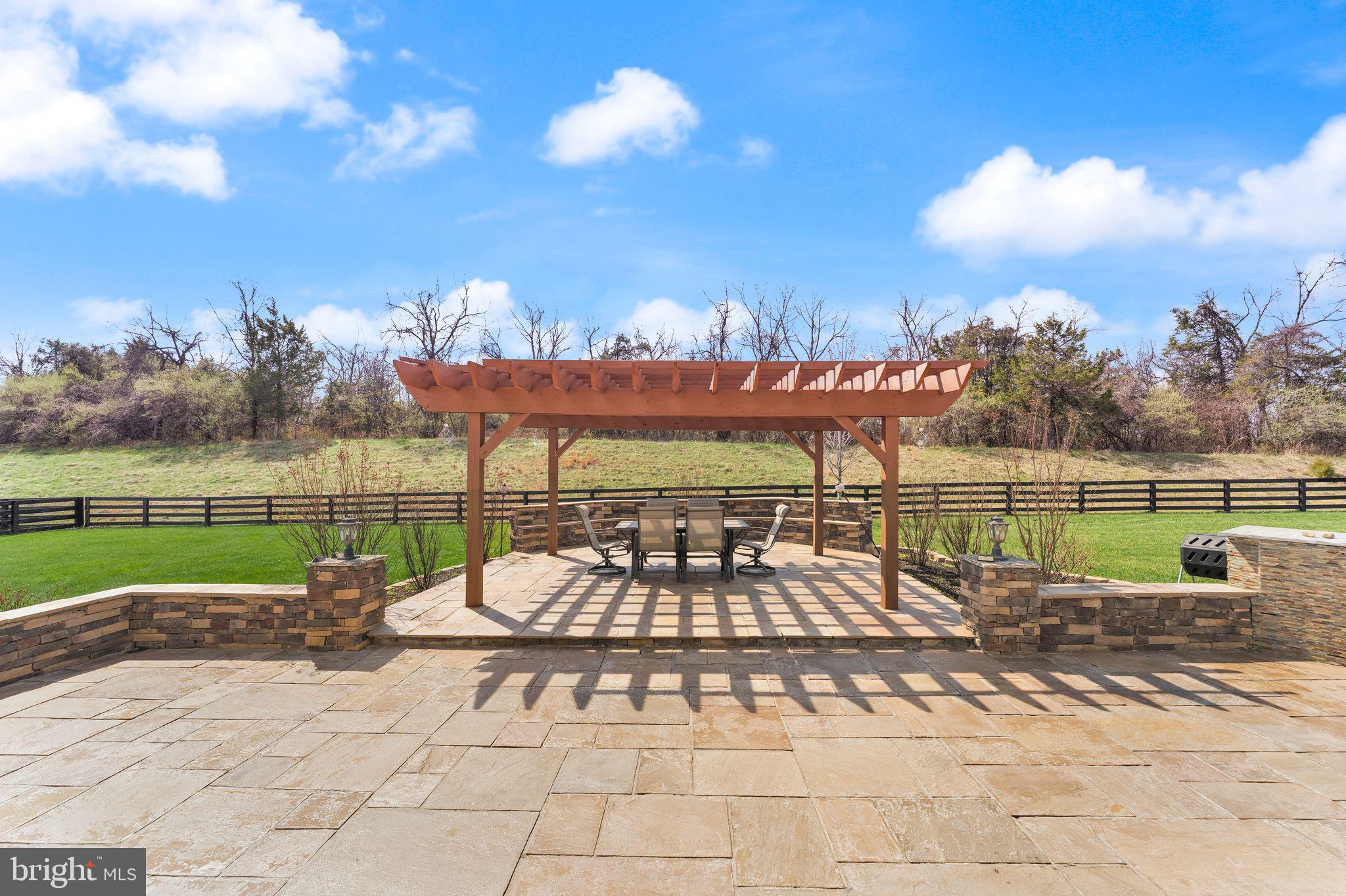 25873 Cameron Walk Place Aldie, VA 20105 - Photo 51 of 92 Majestic - Backyard