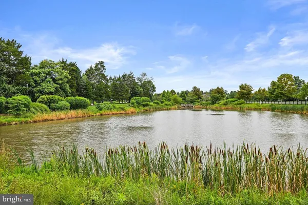 $2,599,999 | 25873 Cameron Walk Place, Aldie, VA 20105