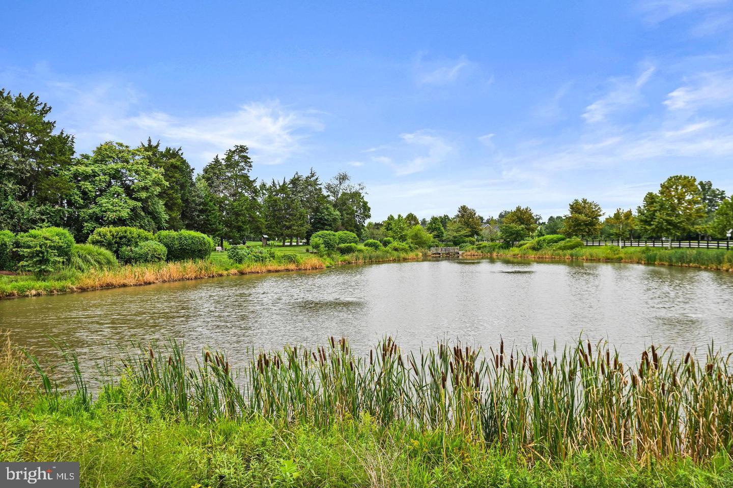 25873 Cameron Walk Place Aldie, VA 20105 - Photo 68 of 92 Willowsford