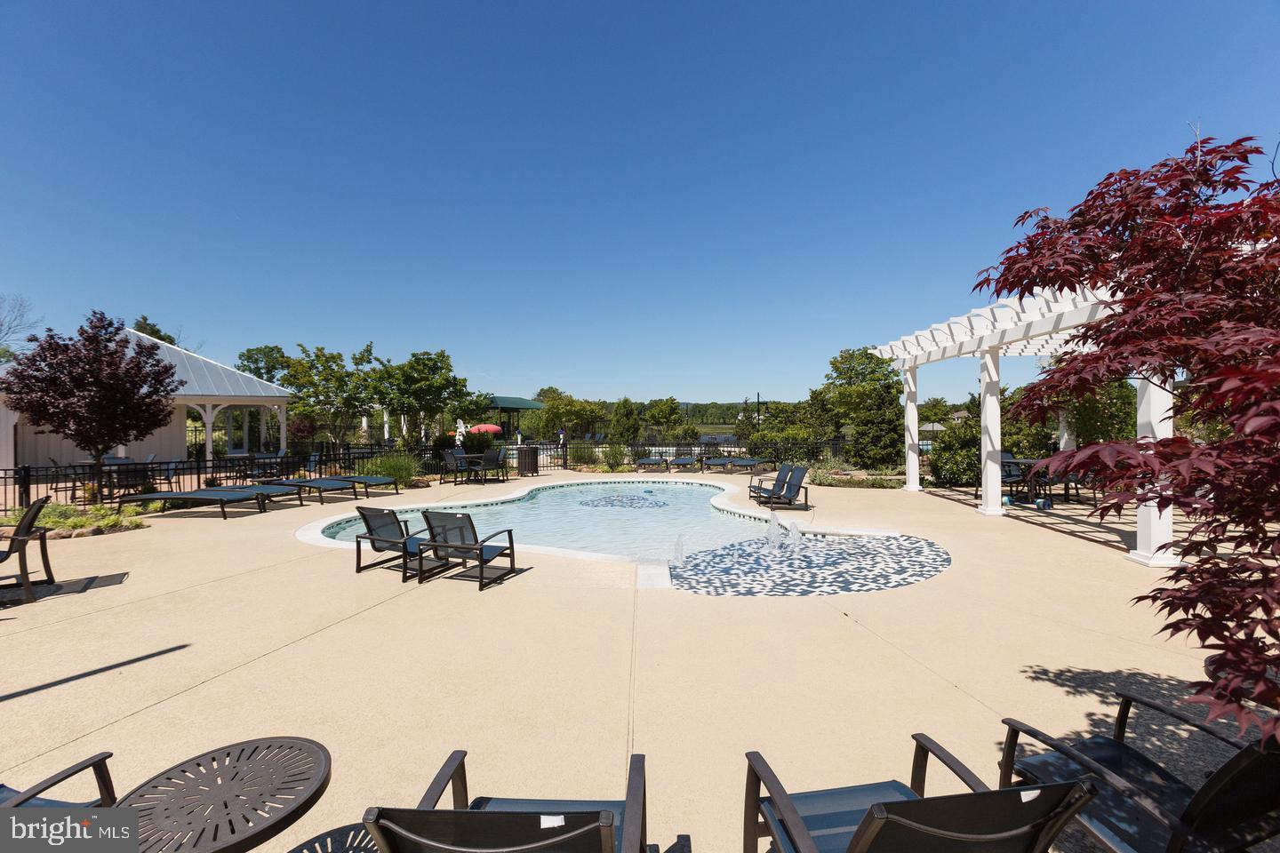 25873 Cameron Walk Place Aldie, VA 20105 - Photo 73 of 92 a view of a swimming pool with outdoor seating and plants