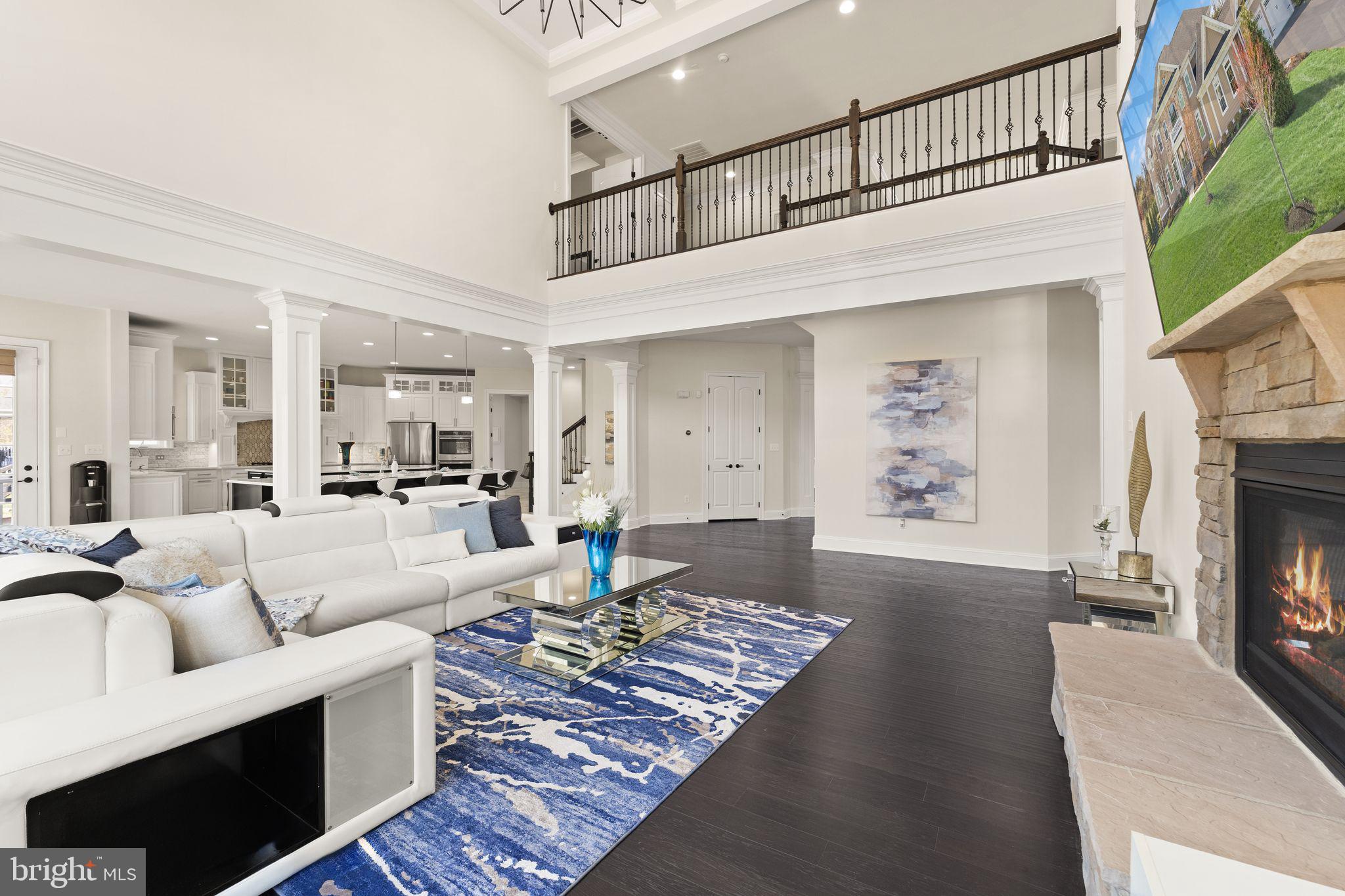 25873 Cameron Walk Place Aldie, VA 20105 - Photo 8 of 92 a living room with furniture and a fireplace