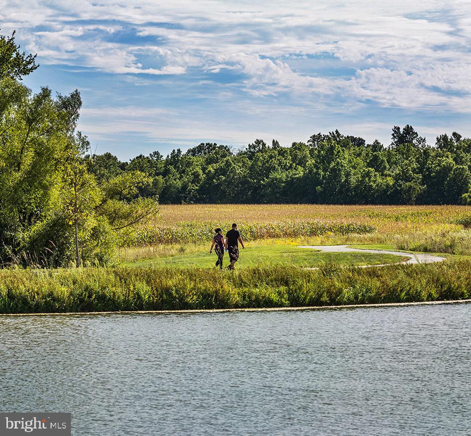 25873 Cameron Walk Place Aldie, VA 20105 - Photo 85 of 92 Willowsford