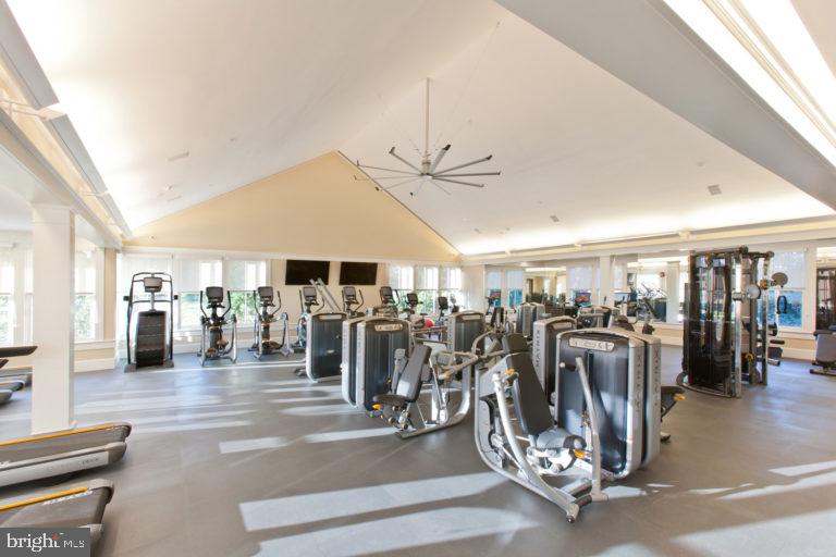 25873 Cameron Walk Place Aldie, VA 20105 - Photo 86 of 92 a view of a room with gym equipment