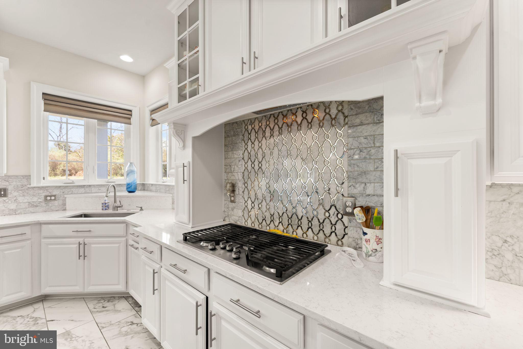 25873 Cameron Walk Place Aldie, VA 20105 - Photo 10 of 92 a kitchen with a stove a sink and a refrigerator