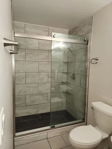 a bathroom with a shower and toilet