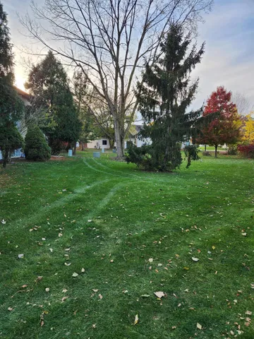 a view of a trees in a yard