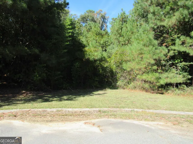 $25,000 | 125 North Laura Ann Court, Macon, GA 31210