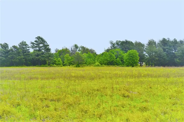 a view of an outdoor space and a yard
