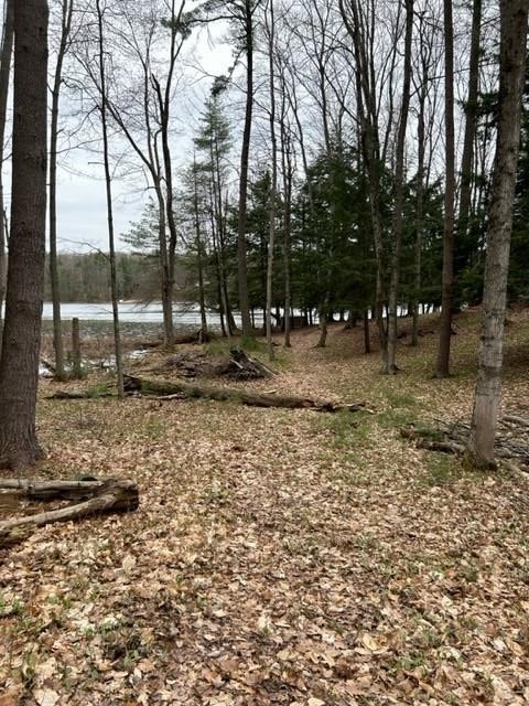 Reynolds Road, Unit LOT: B Lake Ann, MI 49650 - Photo 19 of 21
