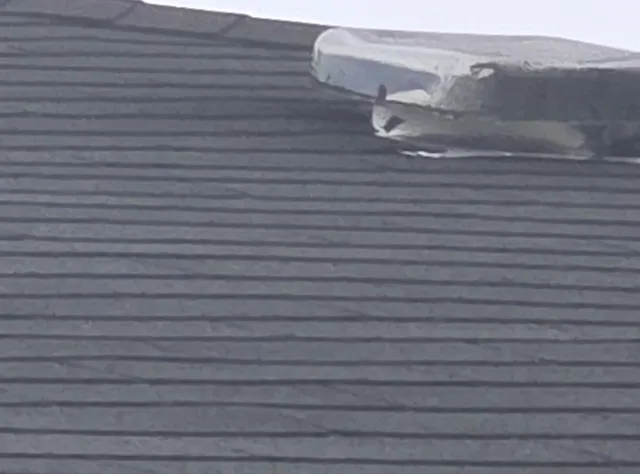 $65,000 | 8236 Trinity Street, Detroit, MI 48228