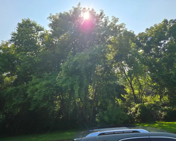 $57,900 | 8236 Trinity Street, Detroit, MI 48228