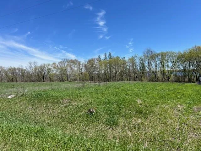 $89,900 | Lot 14 Alum Trail, Grey Eagle, MN 56336