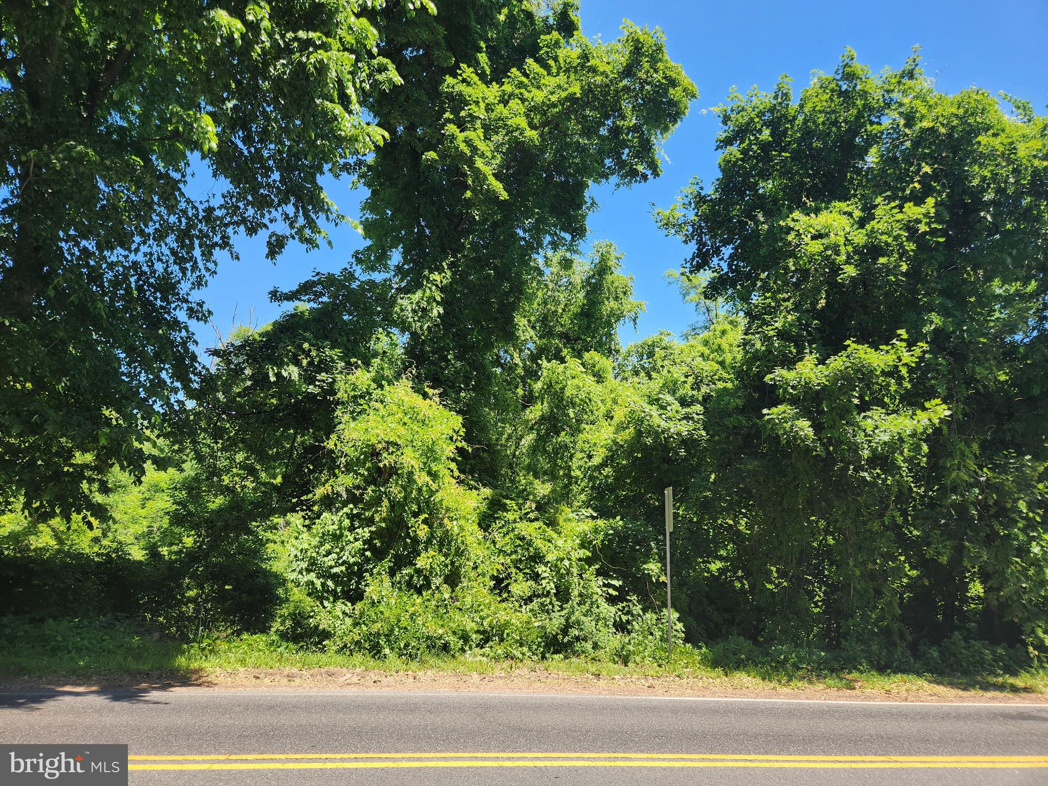 10-6 Carter Road Princeton, NJ 08540 - Photo 2 of 4