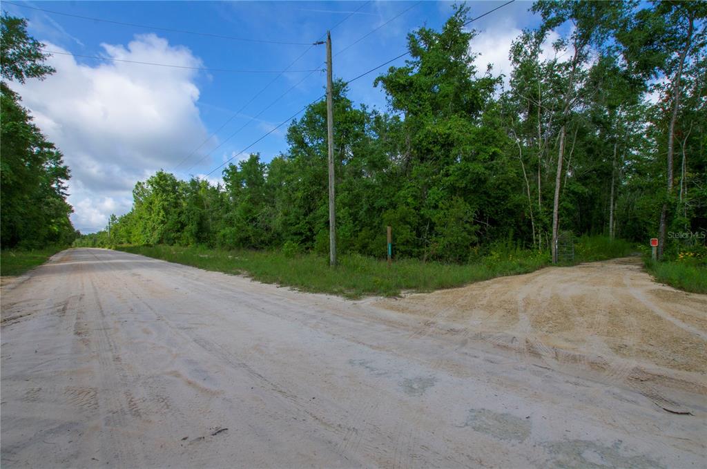 18233 185th Road Live Oak, FL 32060 - Photo 10 of 99 a view of a field with plants and trees in the background