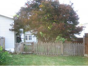 807 West Howe Street Bloomington, IN 47403 - Photo 18 of 24