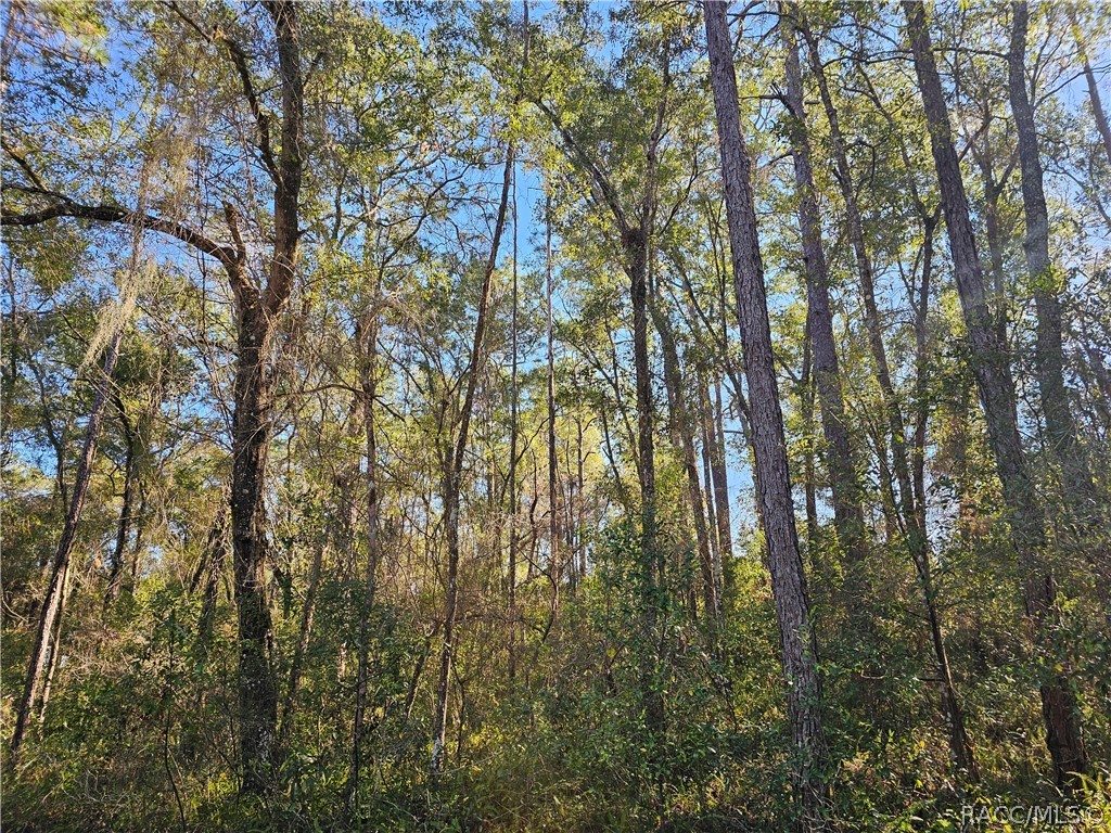 6342 East Glover Street Inverness, FL 34452 - Photo 1 of 5 a backyard of a house with a street