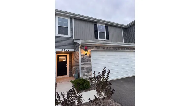 a flower plants in front of a door