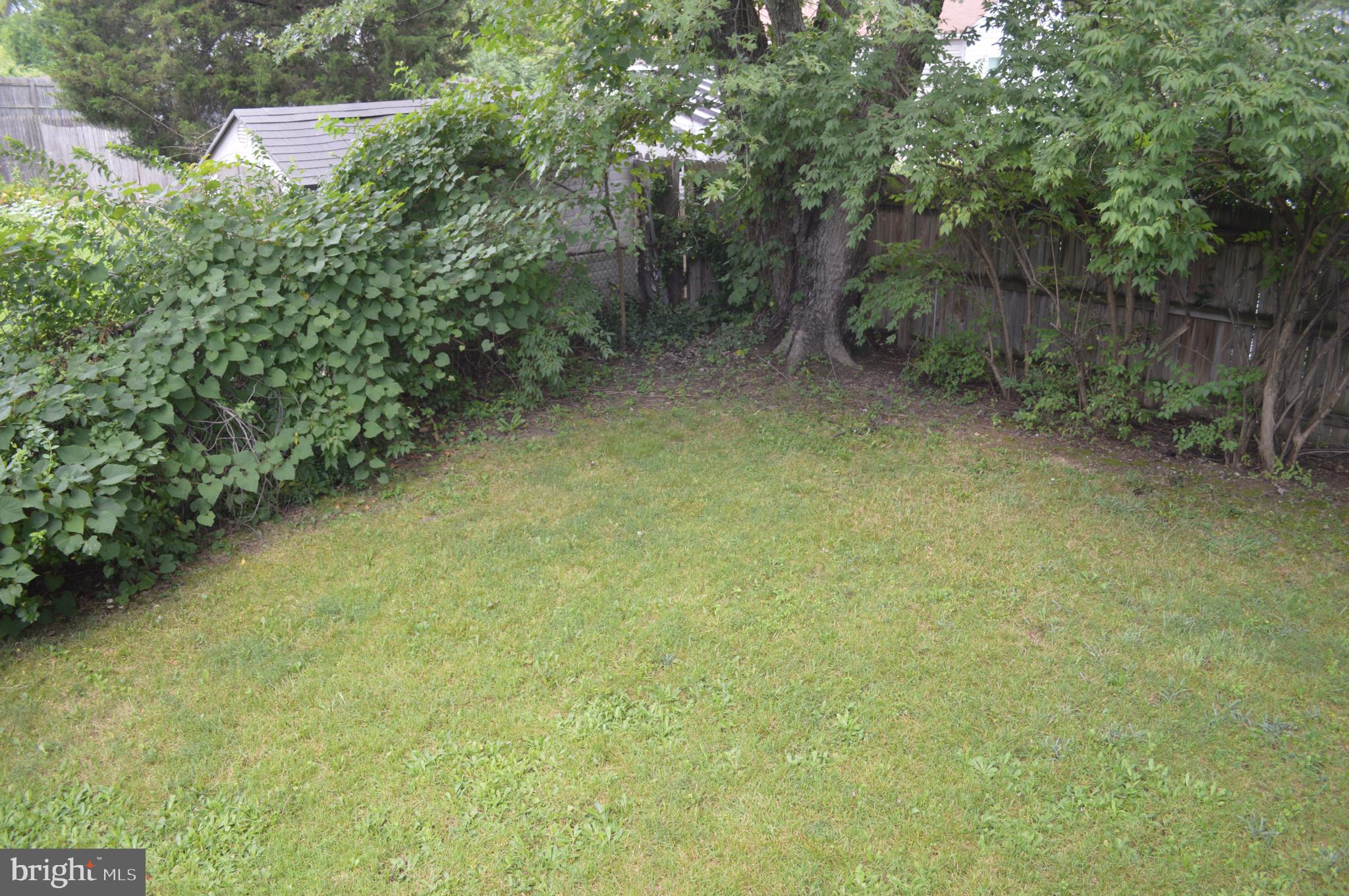4712 Edgewood Road College Park, MD 20740 - Photo 23 of 45 Private backyard View #1