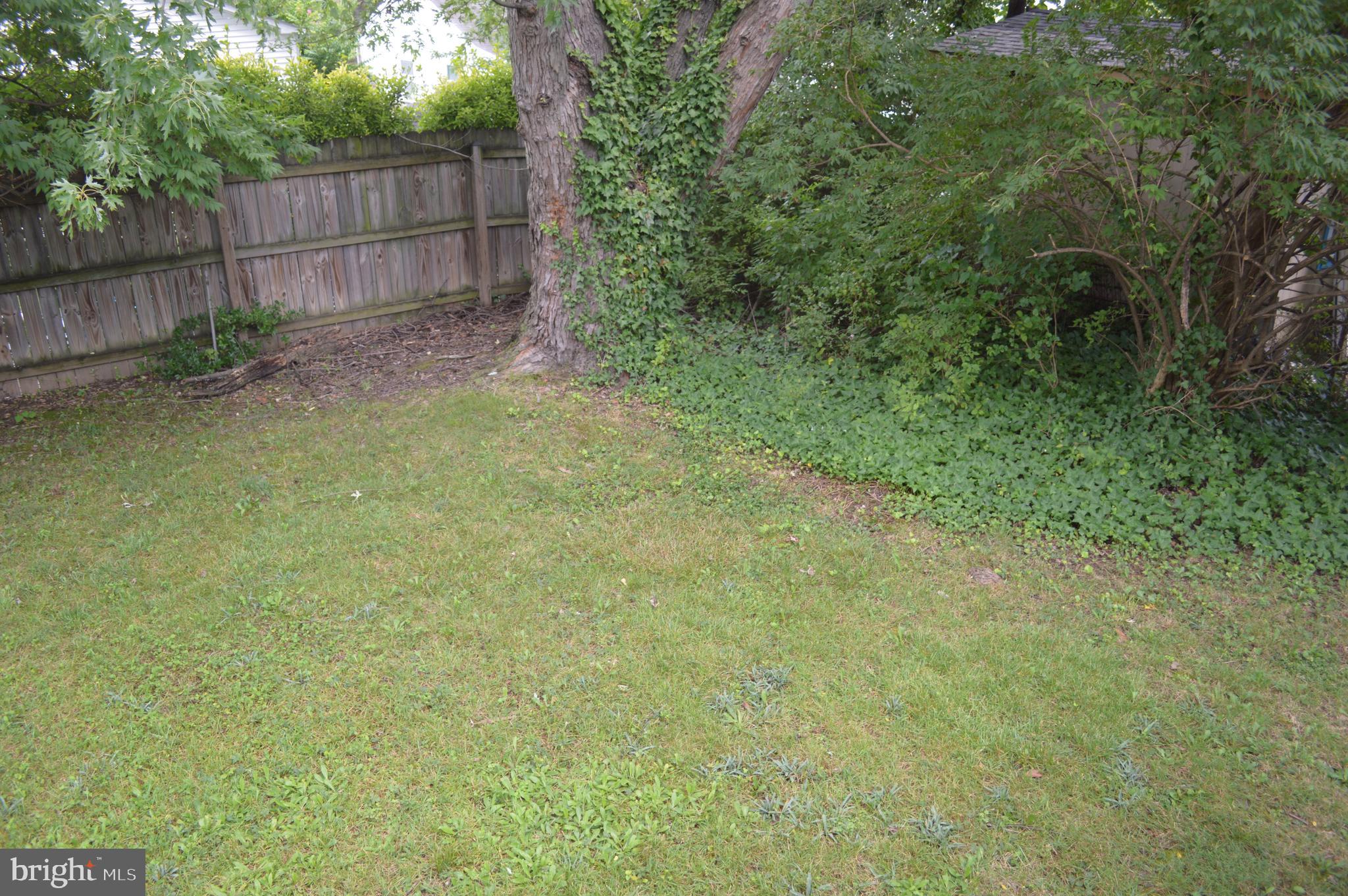 4712 Edgewood Road College Park, MD 20740 - Photo 24 of 45 Private backyard View #2