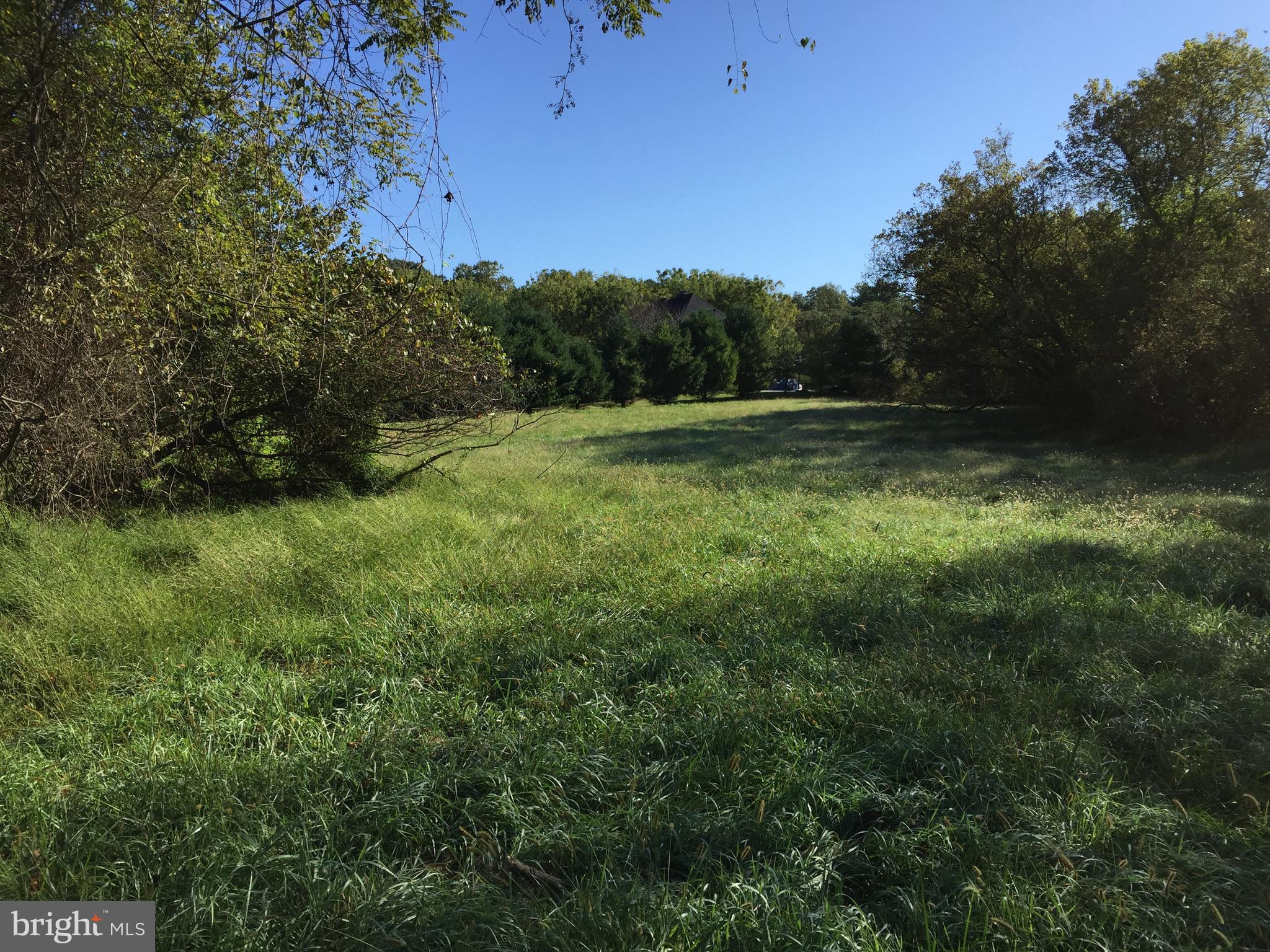 Western Run Road Hunt Valley, MD 21030 - Photo 2 of 3 Lot - Surrounded by Trees