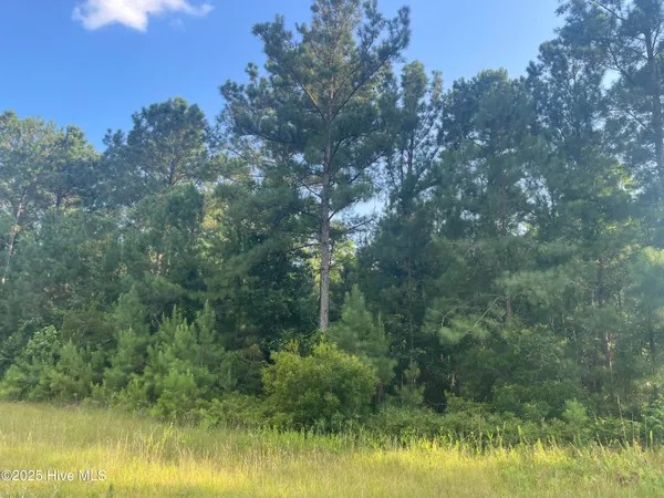 $50,000 | 61 Arant Farm Road, Merritt, NC 28556