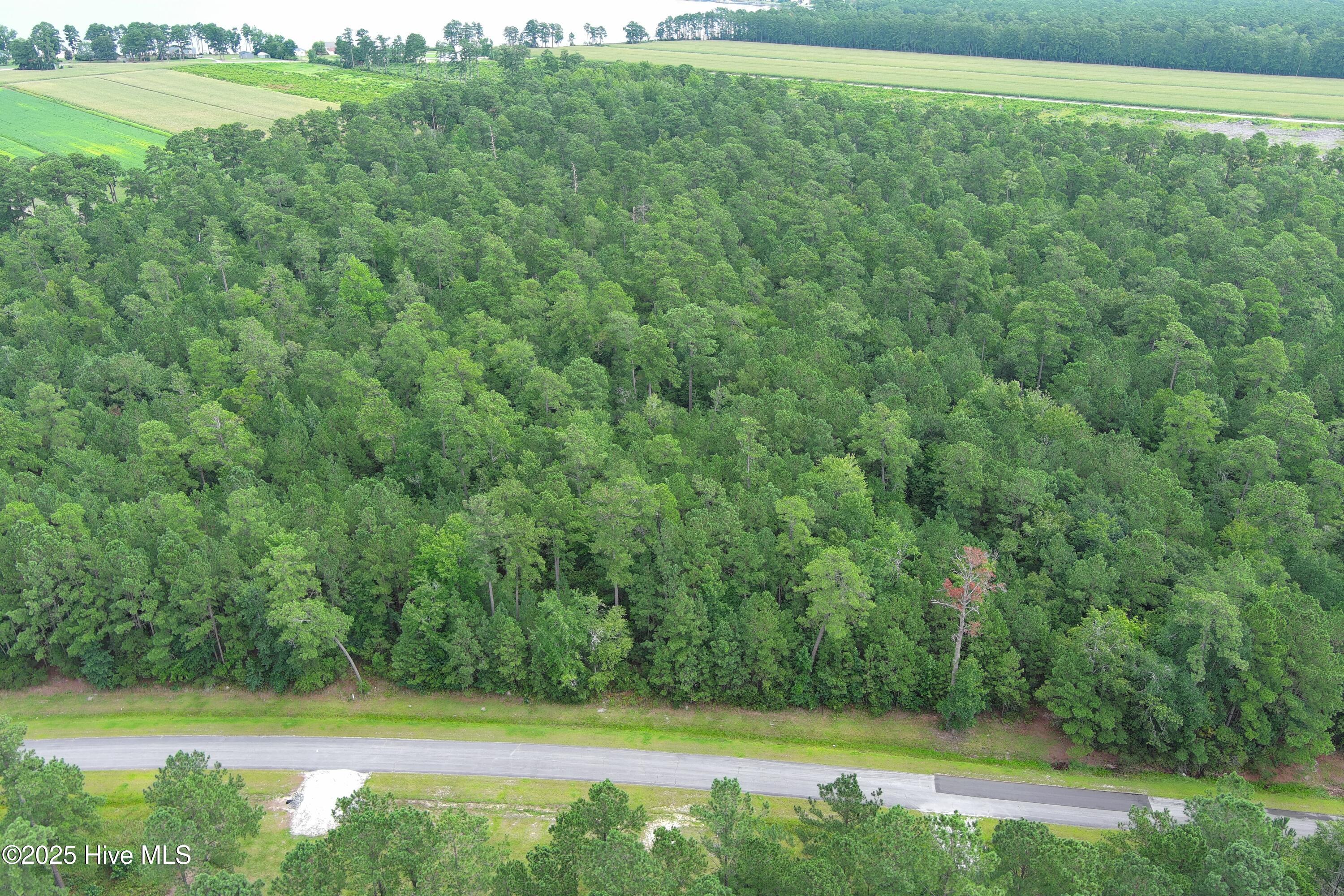 61 Arant Farm Road Merritt, NC 28556 - Photo 5 of 10 61.1