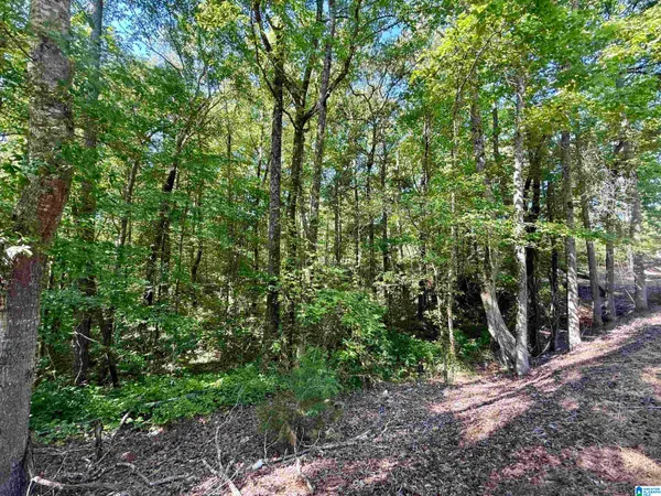 $109,000 | 0 Settlement Road, Sylacauga, AL 35150