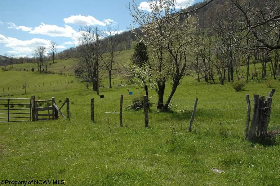 8239 Co Rte 5/2 Seneca Rocks, WV 26884 - Photo 7 of 17 Gallery Image 7
