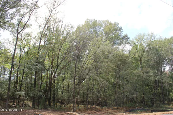 $99,000 | 8 Hickory Hollow Road, Coldwater, MS 38618