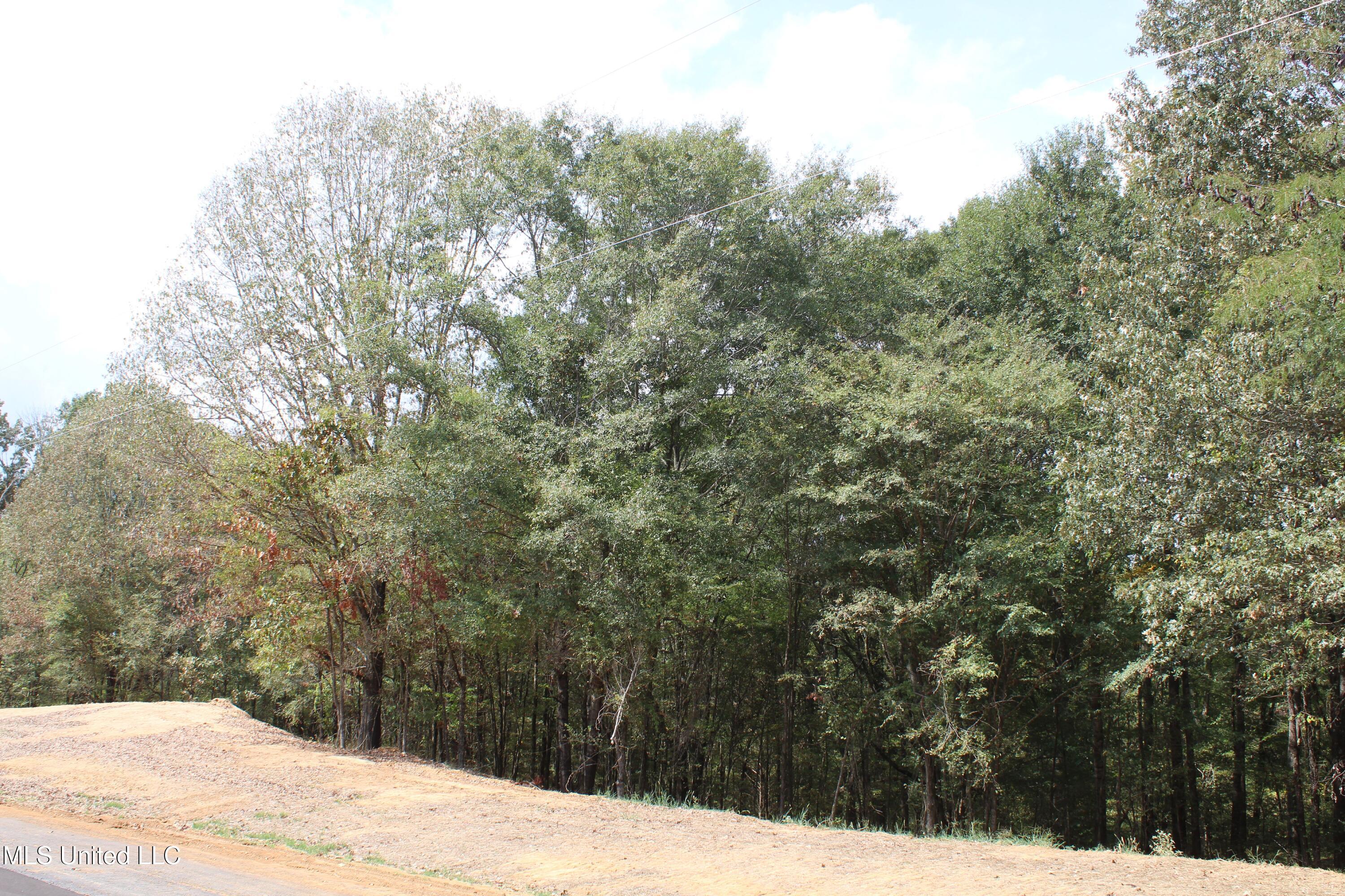 8 Hickory Hollow Road Coldwater, MS 38618 - Photo 23 of 70 IMG_6583