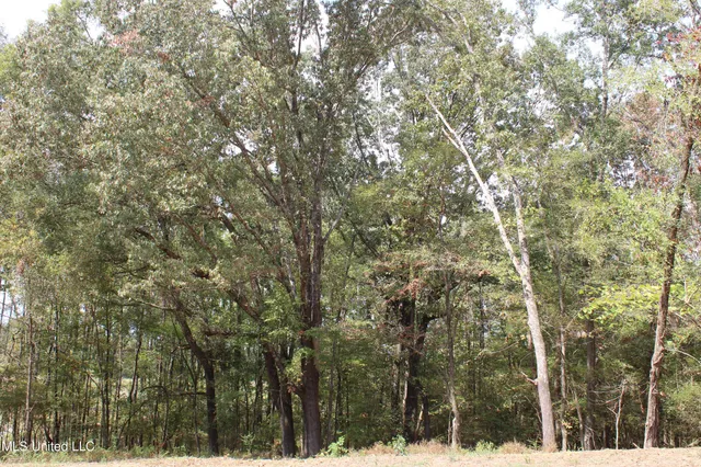 $99,000 | 8 Hickory Hollow Road, Coldwater, MS 38618