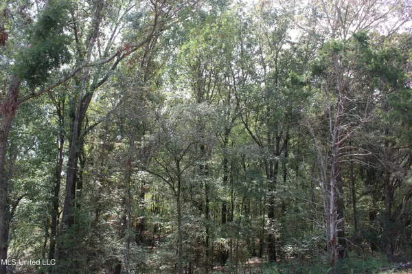 $99,000 | 8 Hickory Hollow Road, Coldwater, MS 38618