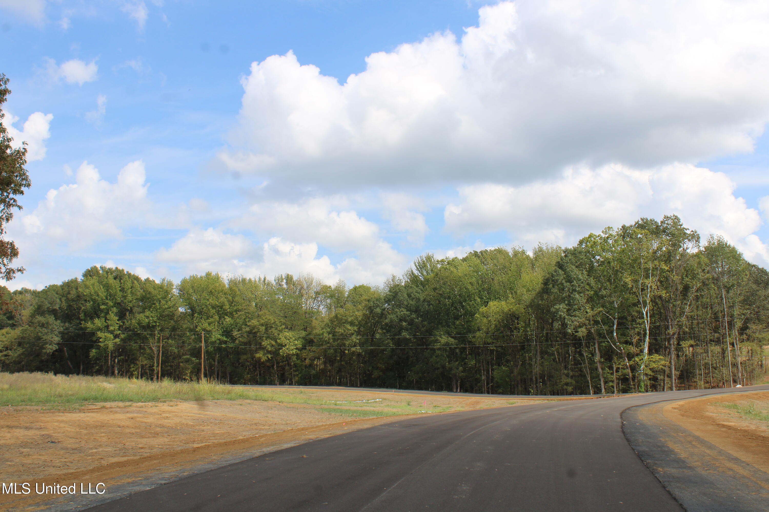8 Hickory Hollow Road Coldwater, MS 38618 - Photo 60 of 70 IMG_6620