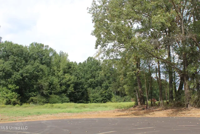 $99,000 | 8 Hickory Hollow Road, Coldwater, MS 38618