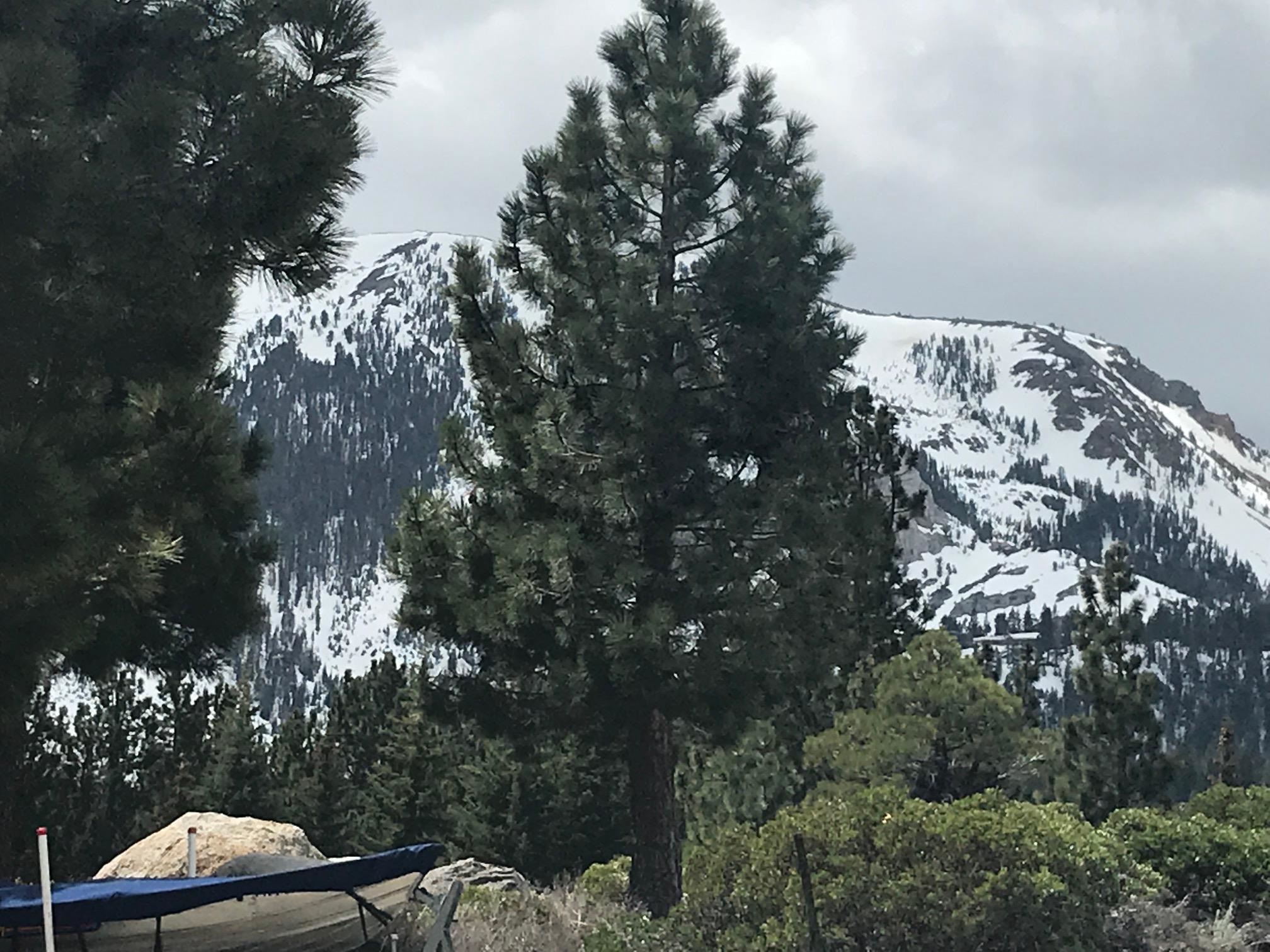5 Ridge Way Mammoth Lakes, CA 93546 - Photo 9 of 10 Gallery Image 9