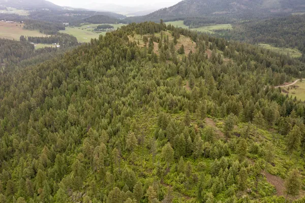 $279,000 | 2420 A Cedonia-Addy Road, Addy, WA 99101