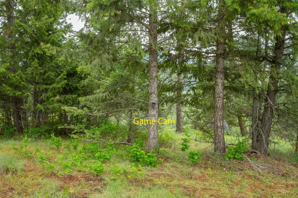$279,000 | 2420 A Cedonia-Addy Road, Addy, WA 99101