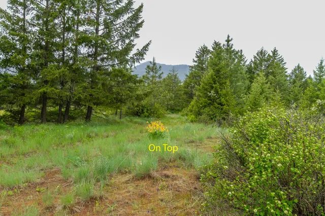 $279,000 | 2420 A Cedonia-Addy Road, Addy, WA 99101