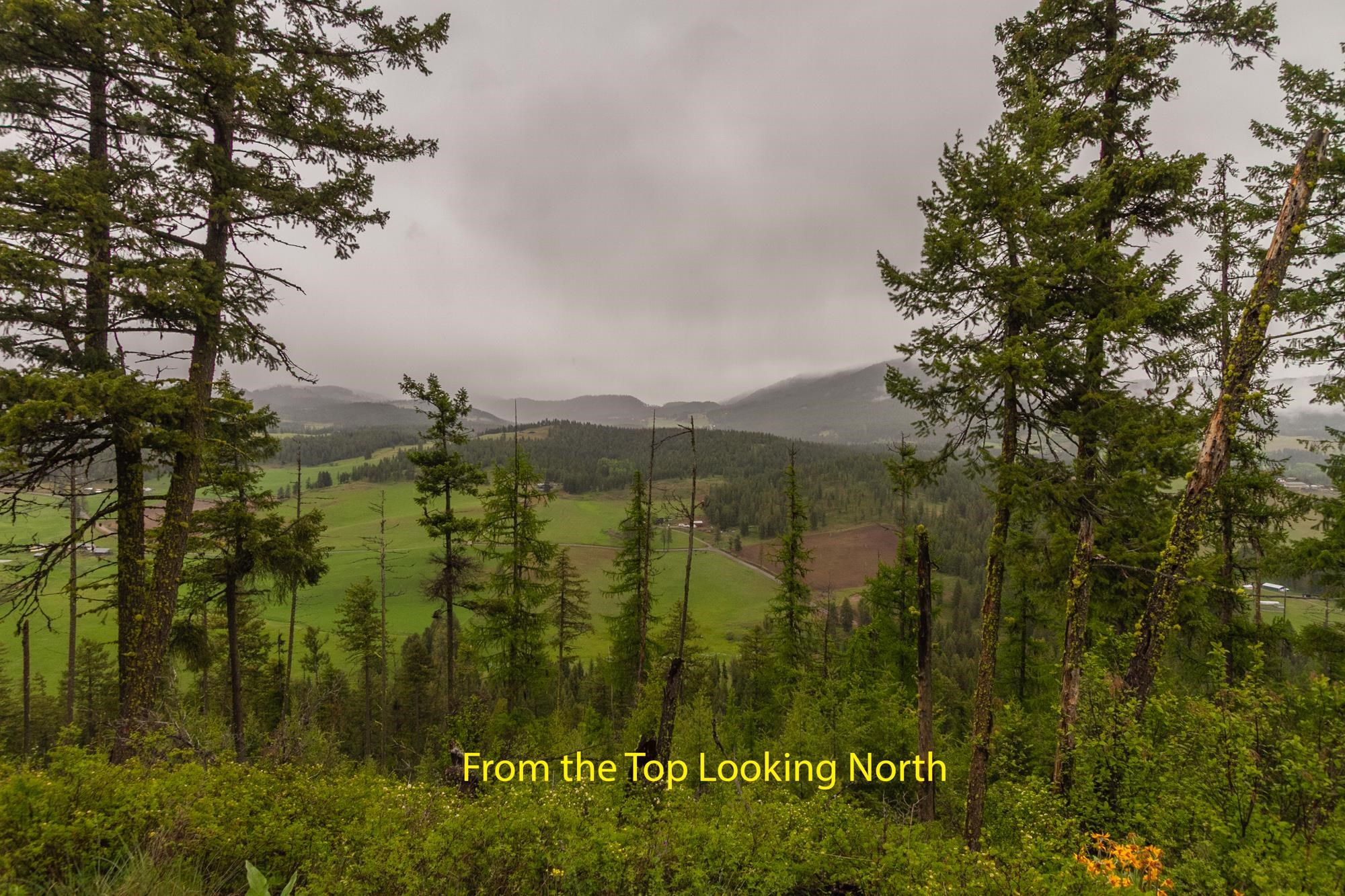 2420 A Cedonia-Addy Road Addy, WA 99101 - Photo 8 of 17